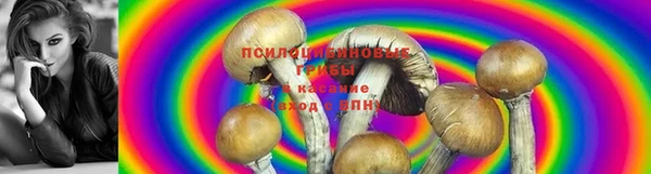 дживик Алексин