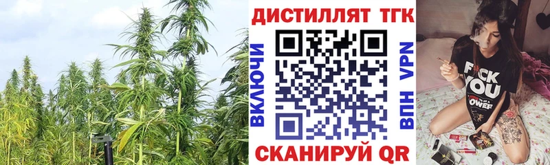 где найти наркотики  Грайворон  ТГК гашишное масло 