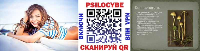 Галлюциногенные грибы Psilocybine cubensis  закладка  omg tor  Грайворон 